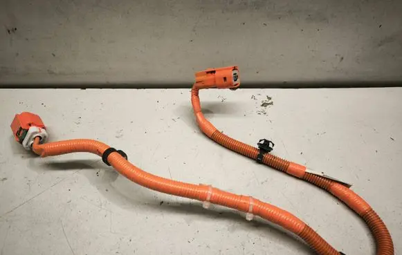 Lexus RX V Other wiring loom 821H248050