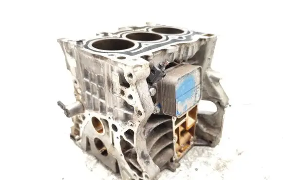 Skoda Scala Engine block 