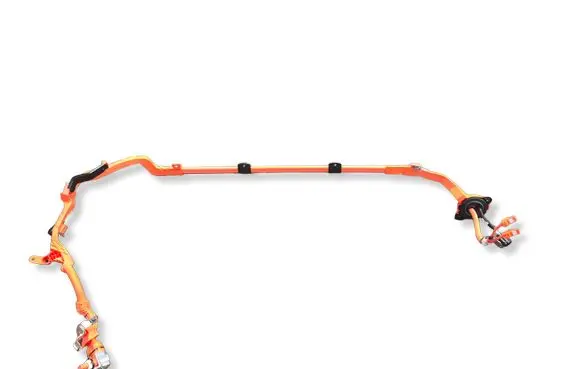 Toyota Yaris Cross Other wiring loom 821H10D010