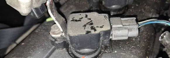 Nissan Primera High voltage ignition coil 03skv129