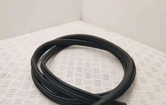 Opel Vivaro Front door rubber seal