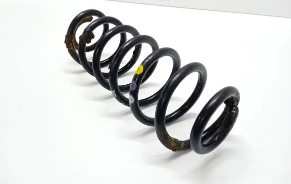 Volkswagen PASSAT B7 Rear coil spring