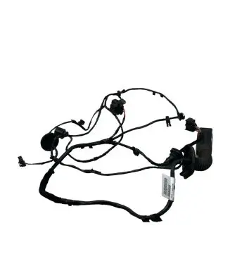 Seat Ibiza IV (6J,6P) Rear door wiring loom 8K0972702
