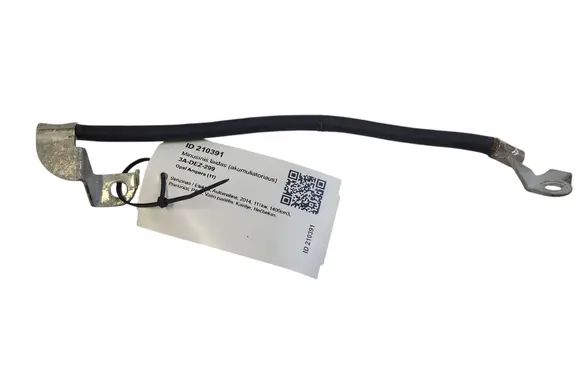 Opel Ampera Negative earth cable (battery)