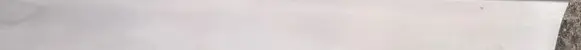 Renault Megane II Front door glass trim molding 