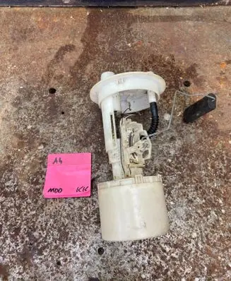 Citroen Berlingo In-tank fuel pump 09720509900 0816890196 1J0806661