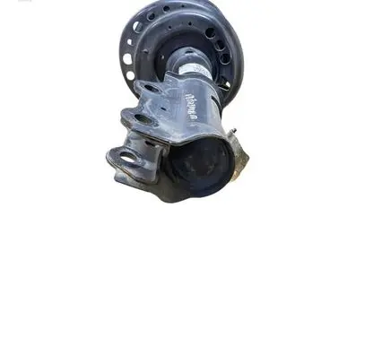 Chevrolet Traverse II Front shock absorber with coil spring 84257824 4D20220 824904012790