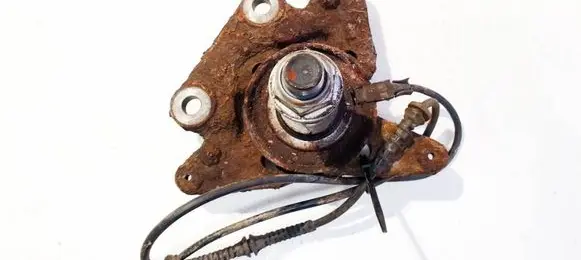 Renault Megane III Stub axle 
