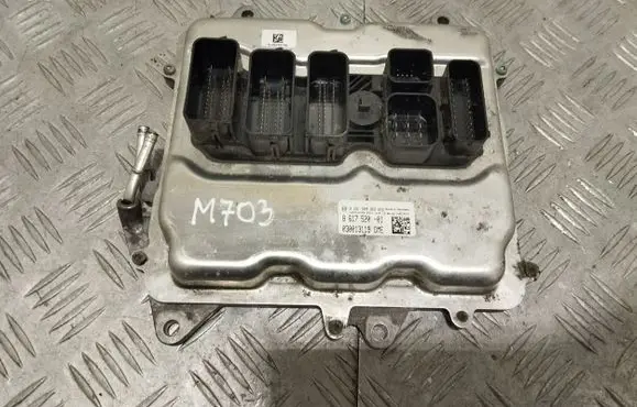 BMW 6 F06 Gran coupe Engine control unit/module 8617520