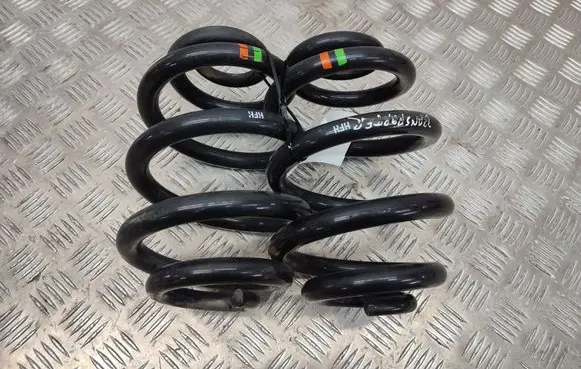 Rear coil spring