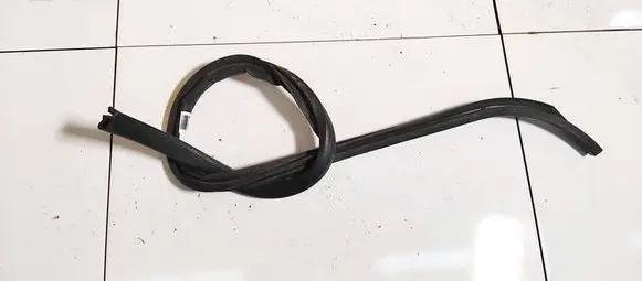 Volkswagen Golf Plus Rubber seal front coupe door 