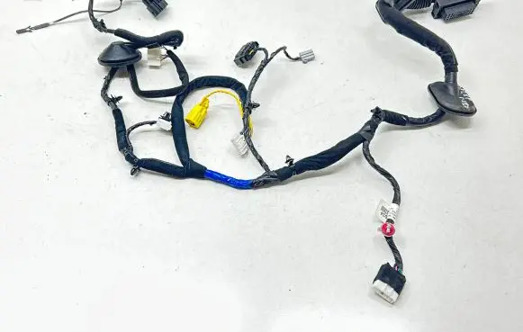 Front door wiring loom