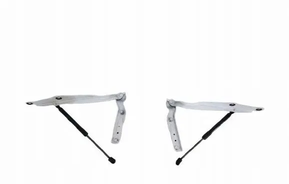 Dodge Charger Engine bonnet/hood hinges 55113551AF