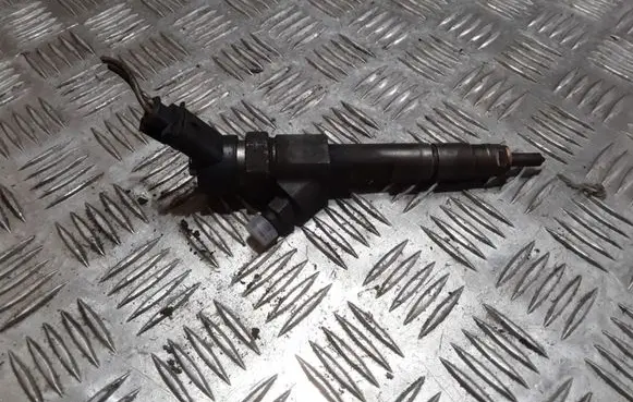 Renault Megane II Fuel injector 8200100272 0445110110A