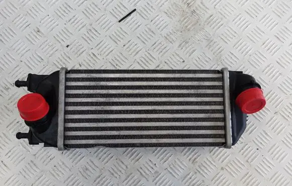 Fiat 500 Intercooler radiator 51953635