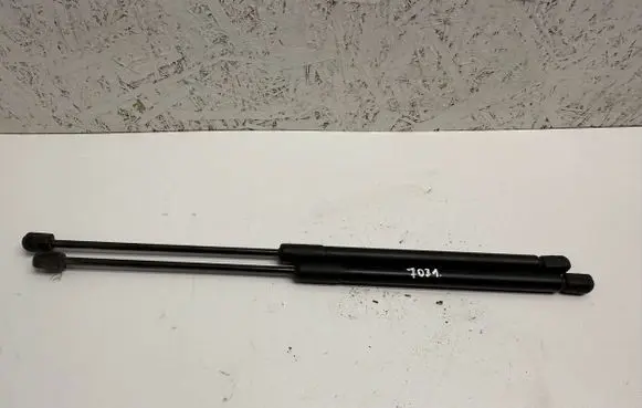 Tailgate/trunk strut/damper