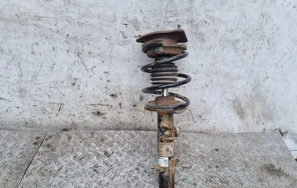 Mini One - Cooper Cabrio R52 Front shock absorber with coil spring 6763130 31316763130 22191350