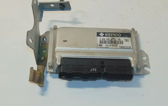Hyundai Getz Engine control unit/module 3911002426