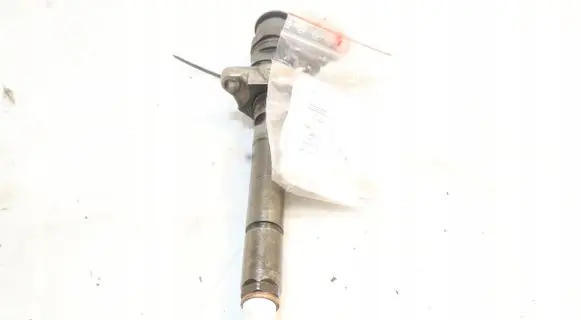 Citroen C4 I Picasso Fuel injector 0445110297