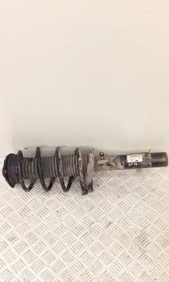 Front shock absorber with coil spring