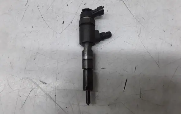 Peugeot 206 Fuel injector 9641496180 0445110075