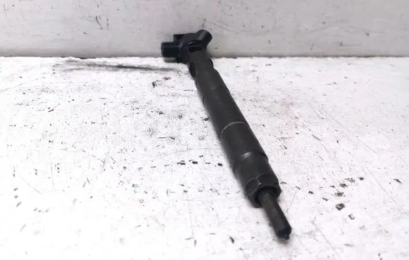 Mercedes-Benz GLK (X204) Fuel injector A6510702887
