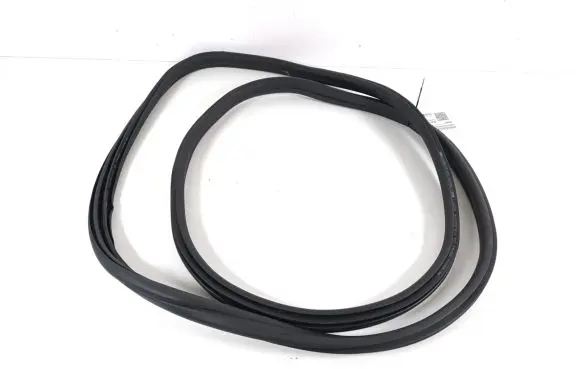 BMW X3 G01 Front door rubber seal 7393423