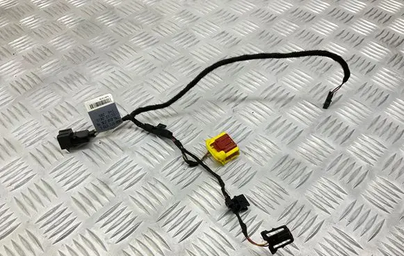 Other wiring loom
