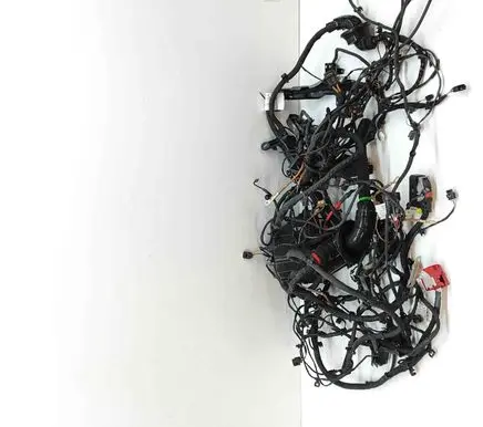 Engine installation wiring loom