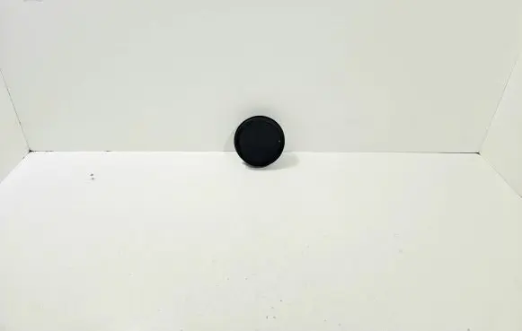 Panel speaker