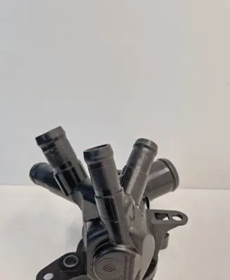 Renault Captur Thermostat 110617089R
