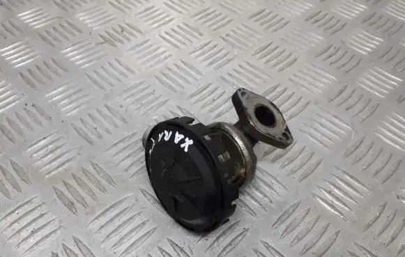 Citroen Xsara Picasso EGR valve 9830189080