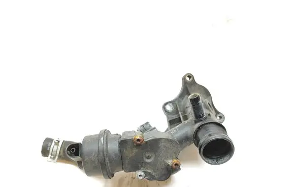 Thermostat/thermostat housing