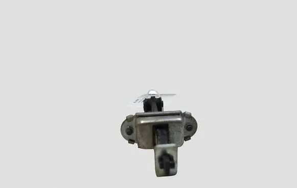 Nissan Qashqai Rear door check strap stopper