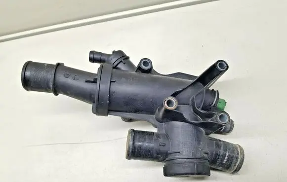 Thermostat/thermostat housing