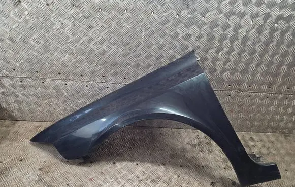 Renault Laguna II Fender 1234