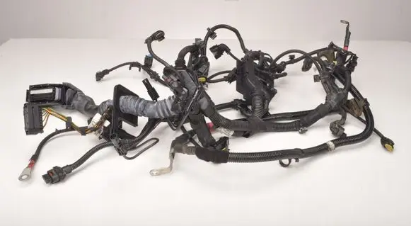 BMW X1 F48 F49 Other wiring loom