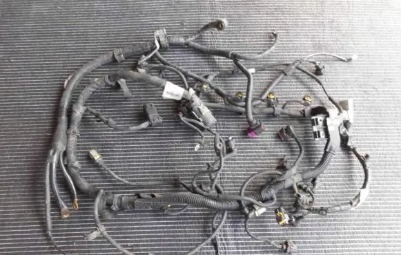Suzuki SX4 Other wiring loom 552054160