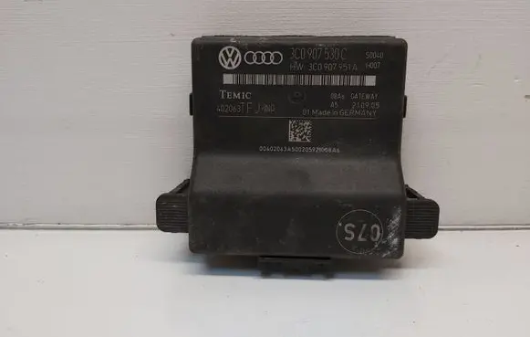 Volkswagen PASSAT B6 Gateway control module 3C0907530C
