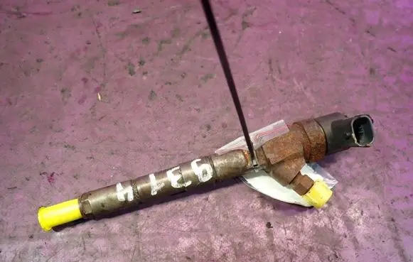 Opel Zafira B Fuel injector 