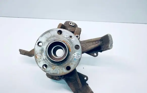 Volkswagen Golf V Front wheel hub 1K0407256P 1K0407621F