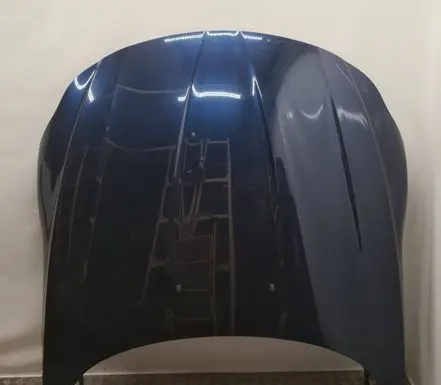 BMW Z4 E89 Engine bonnet/hood 