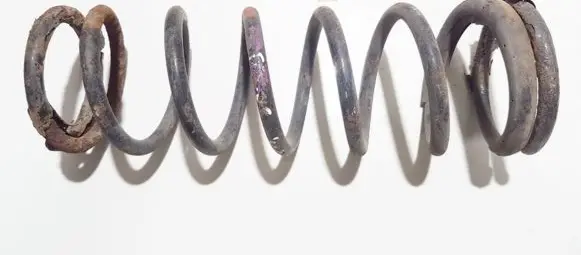 Ford Focus Rear coil spring