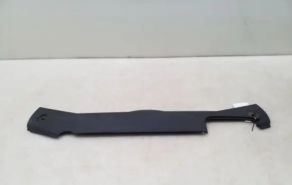 Engine bonnet/hood lock trim molding