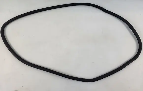 Opel Insignia B Front door rubber seal 