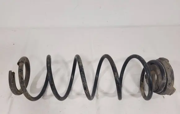 Rear coil spring