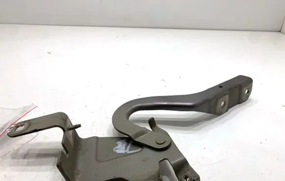 Renault Clio IV Engine bonnet/hood hinges 