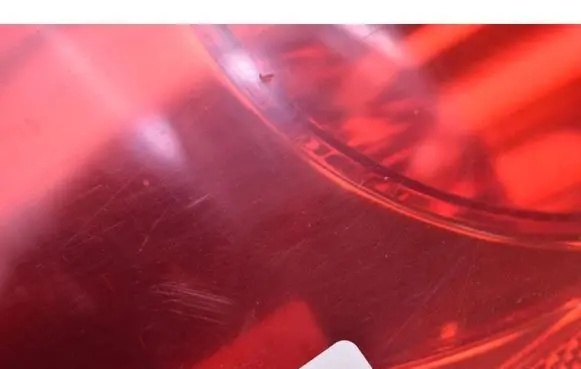 Rear/tail lights