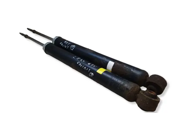 Nissan Leaf II (ZE1) Rear shock absorber/damper 5SJ1A