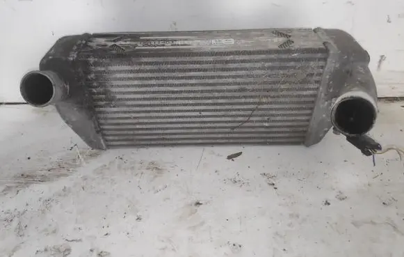 KIA Carnival Intercooler radiator 281904X90X